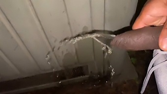 Pissing Exhibitionist Flashes And Pees In Public For Money
